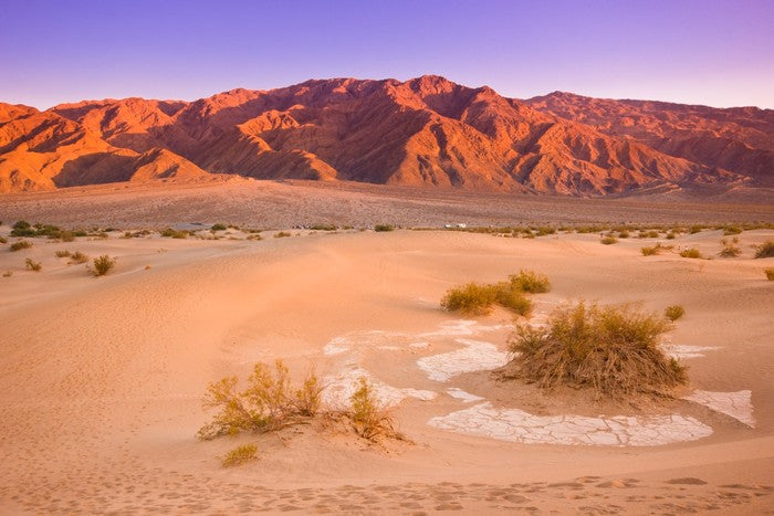 Desert