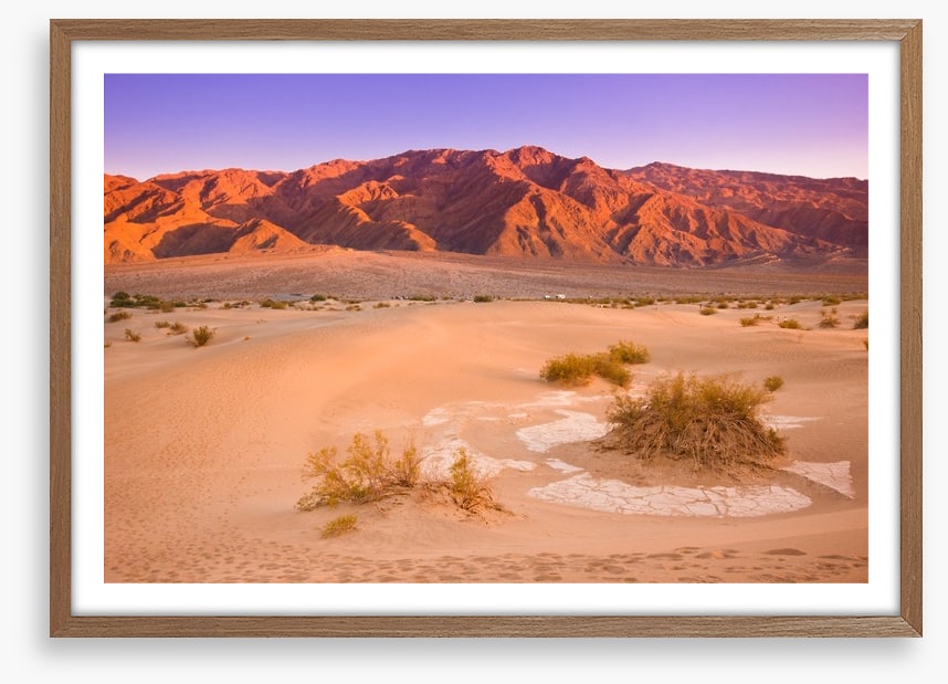 Desert