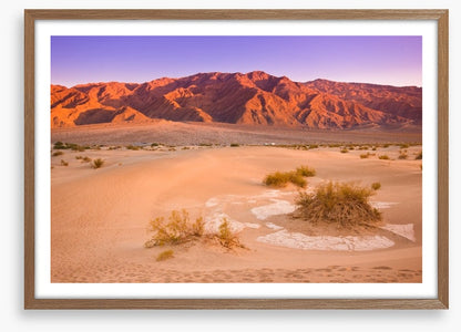 Desert