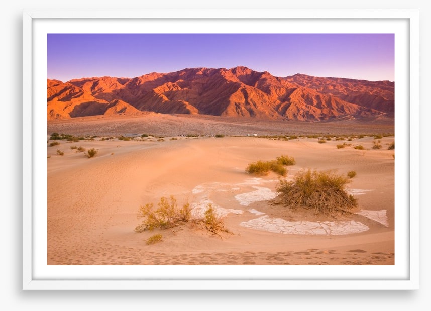 Desert