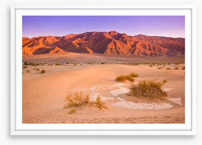 Desert