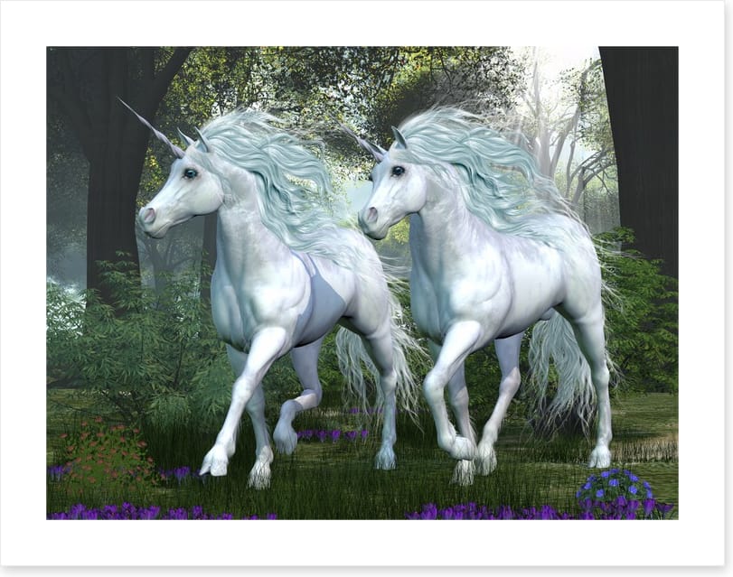 Elm forest unicorns