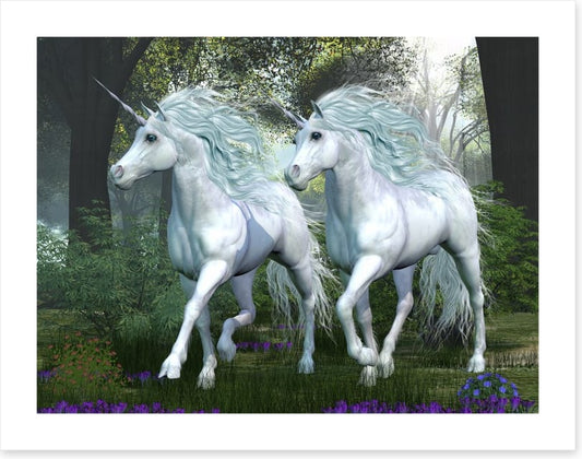 Elm forest unicorns