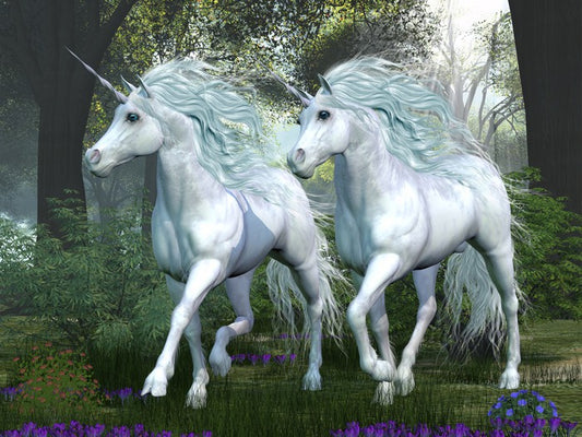 Elm forest unicorns