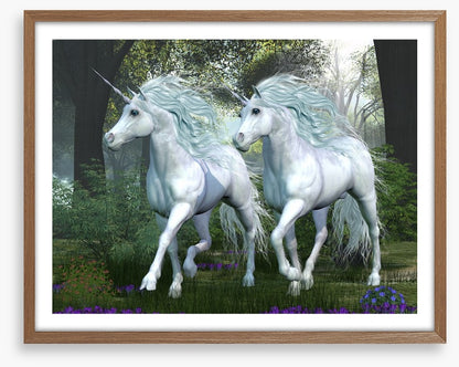 Elm forest unicorns