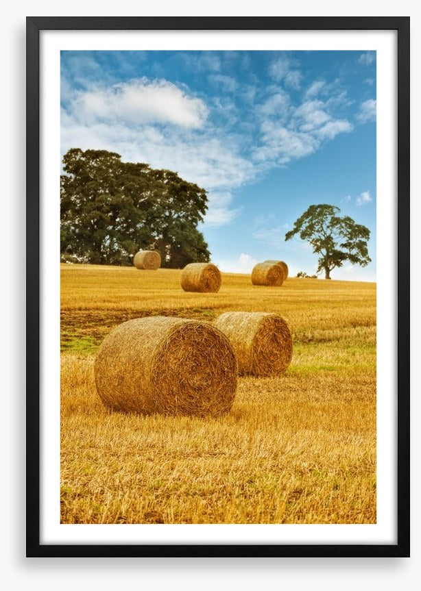 Hay bale harvest
