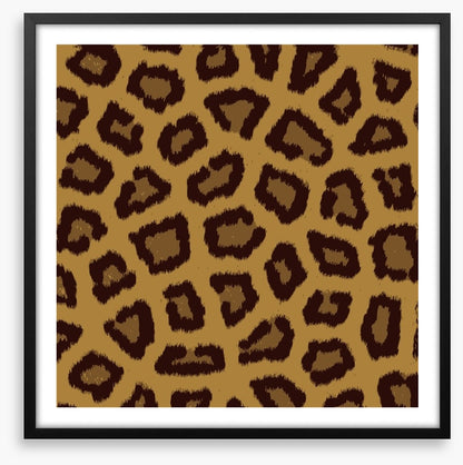 Animal Print