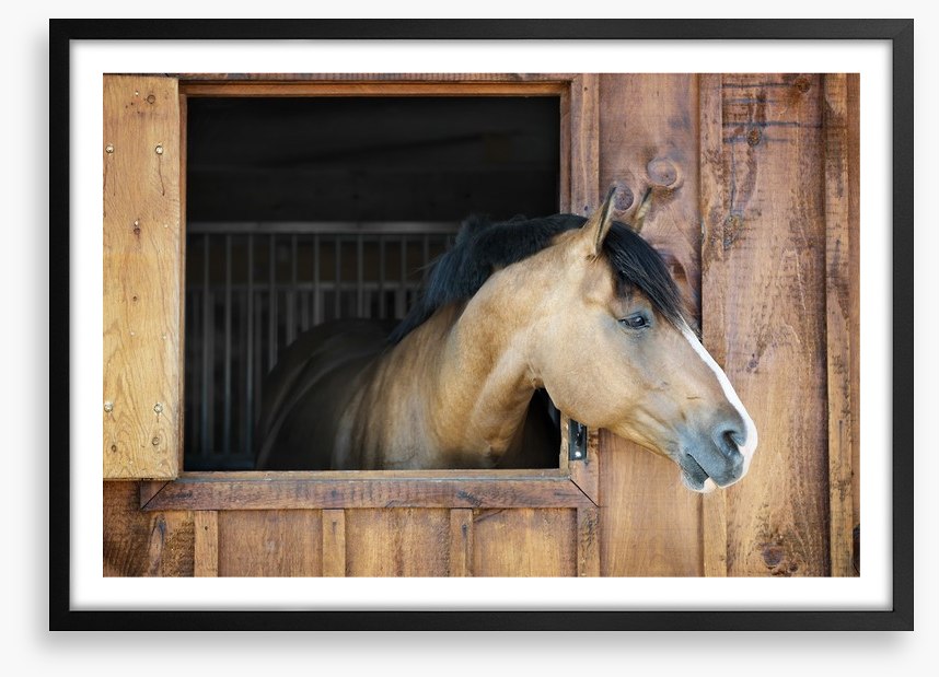 My stable window