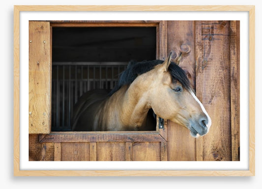 My stable window