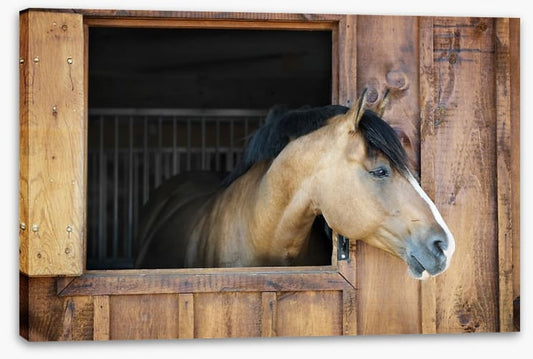 My stable window