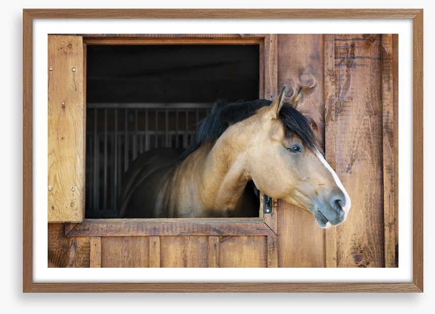 My stable window