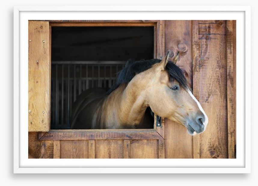 My stable window