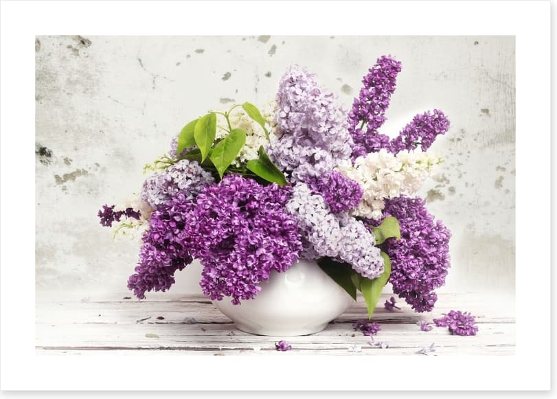 Lilac in the vase