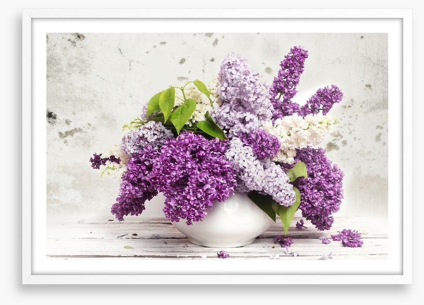 Lilac in the vase