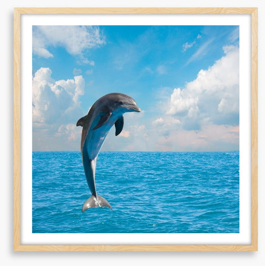 Jumping dolphin