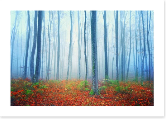 Autumn fairytale forest