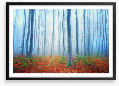 Autumn fairytale forest