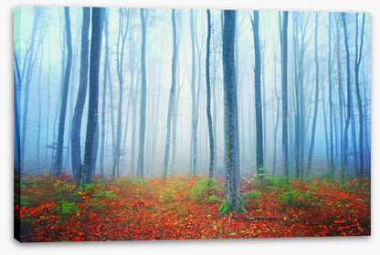Autumn fairytale forest