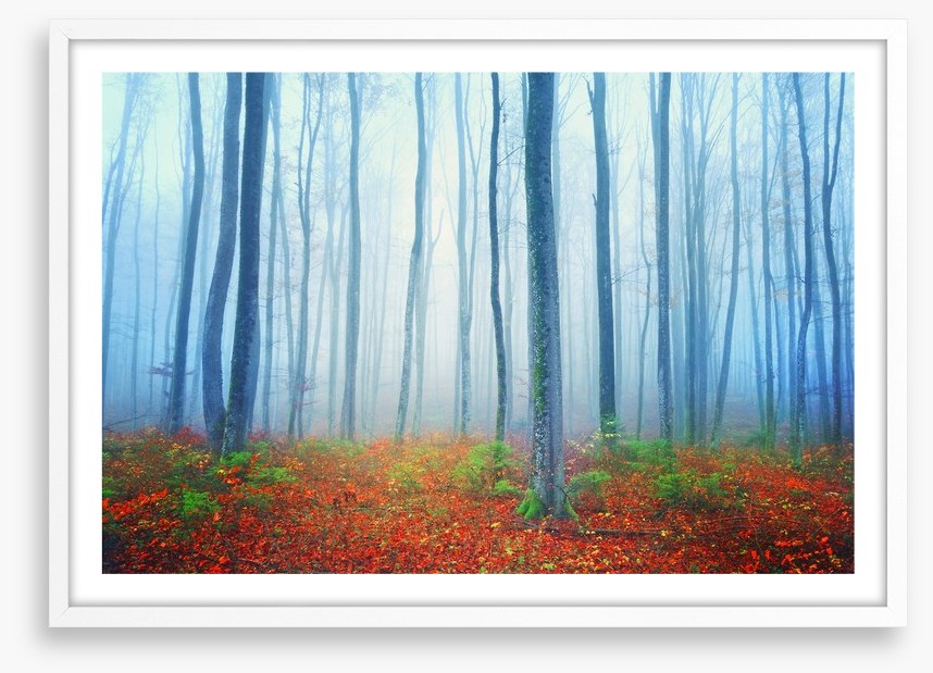 Autumn fairytale forest