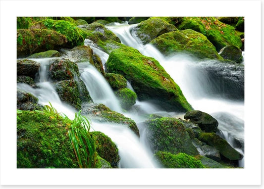 Green moss cascades