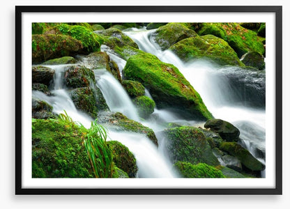 Green moss cascades