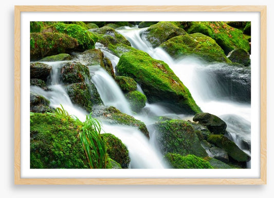 Green moss cascades