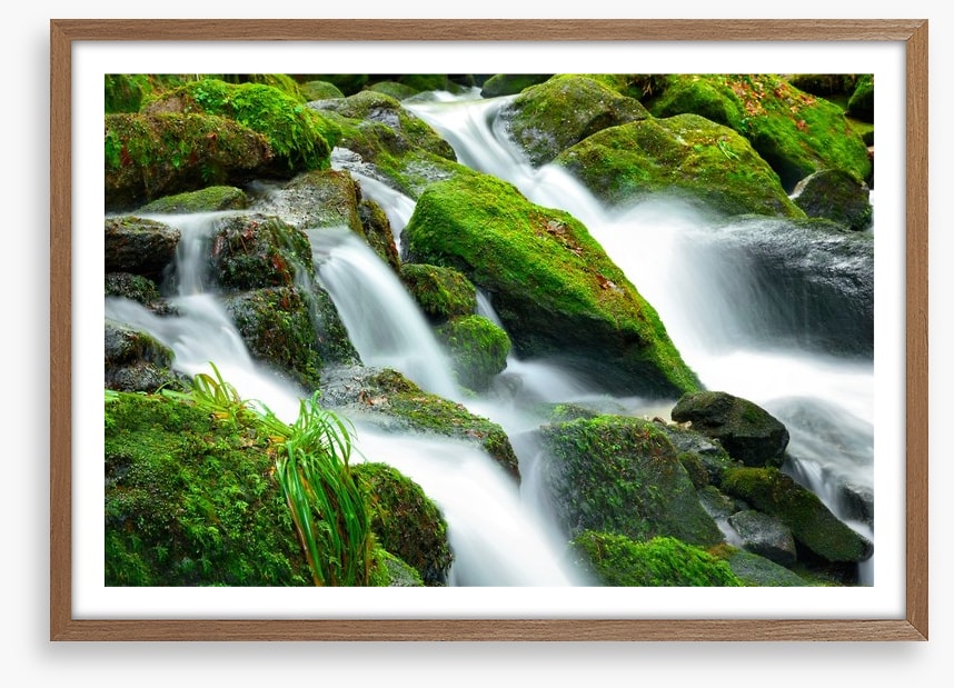 Green moss cascades