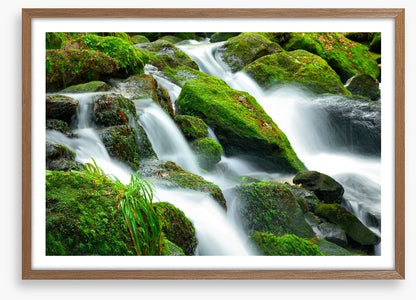 Green moss cascades