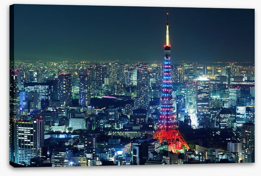 Tokyo city illuminated