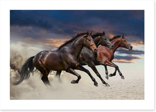 Sandy gallop