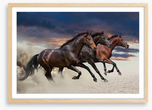 Sandy gallop