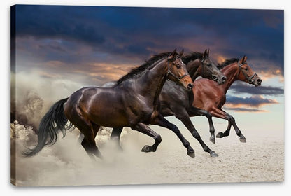 Sandy gallop