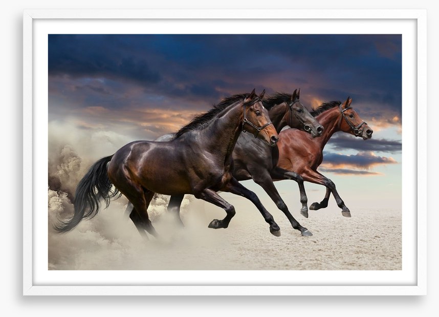 Sandy gallop