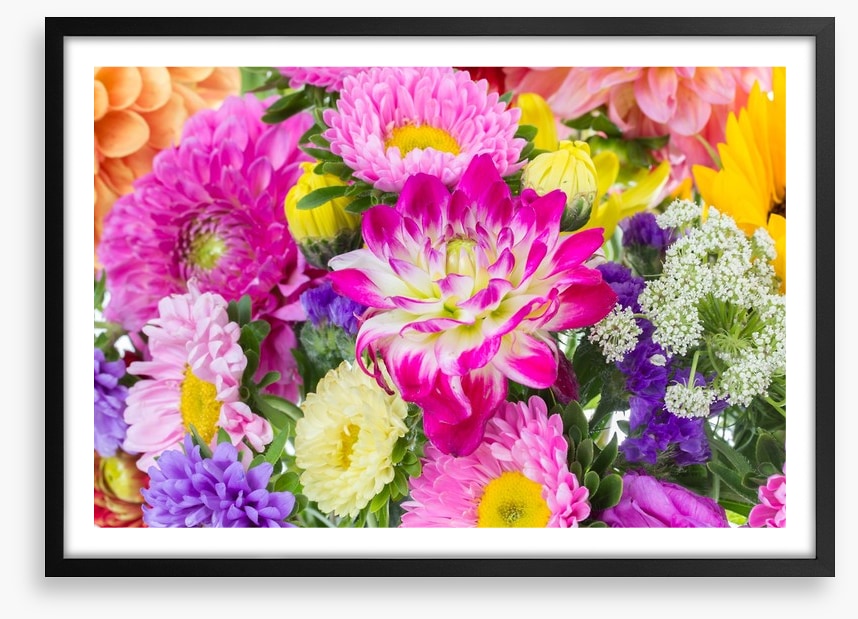 Asteraceae