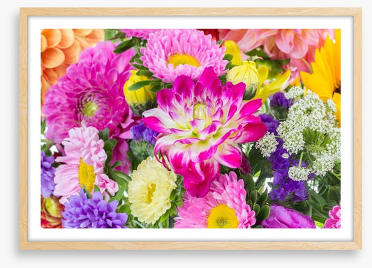 Asteraceae