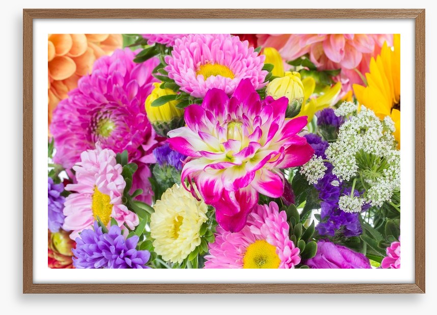 Asteraceae