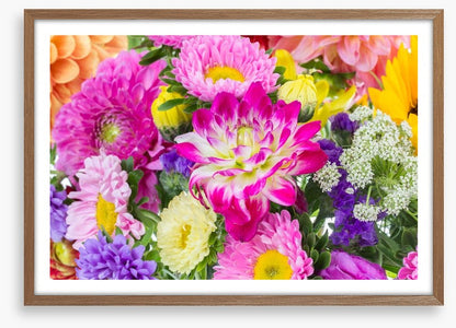 Asteraceae
