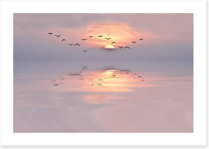 Soft pink dawn