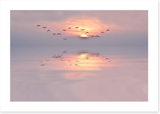Soft pink dawn