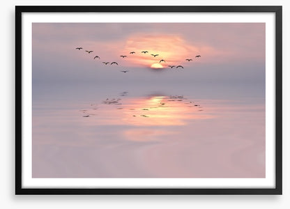 Soft pink dawn