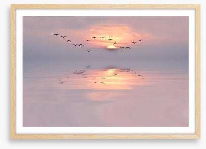 Soft pink dawn
