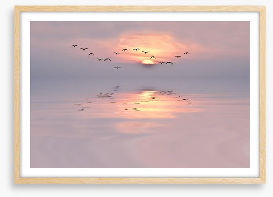 Soft pink dawn