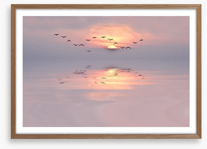 Soft pink dawn