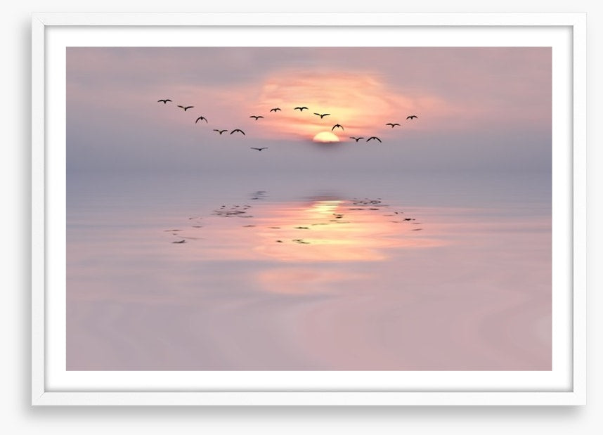 Soft pink dawn