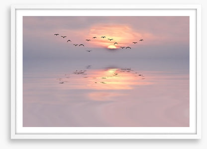 Soft pink dawn