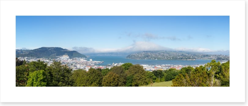 Otago Bay panorama
