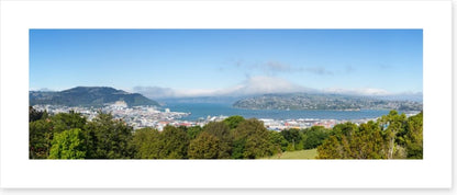 Otago Bay panorama