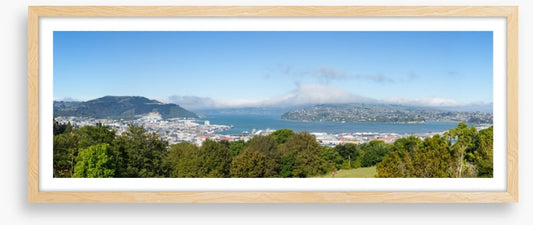 Otago Bay panorama