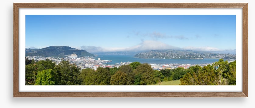Otago Bay panorama
