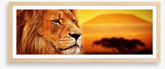 The lion at Mount Kilimanjaro sunset